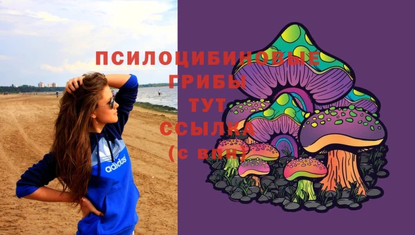 ECSTASY Армянск